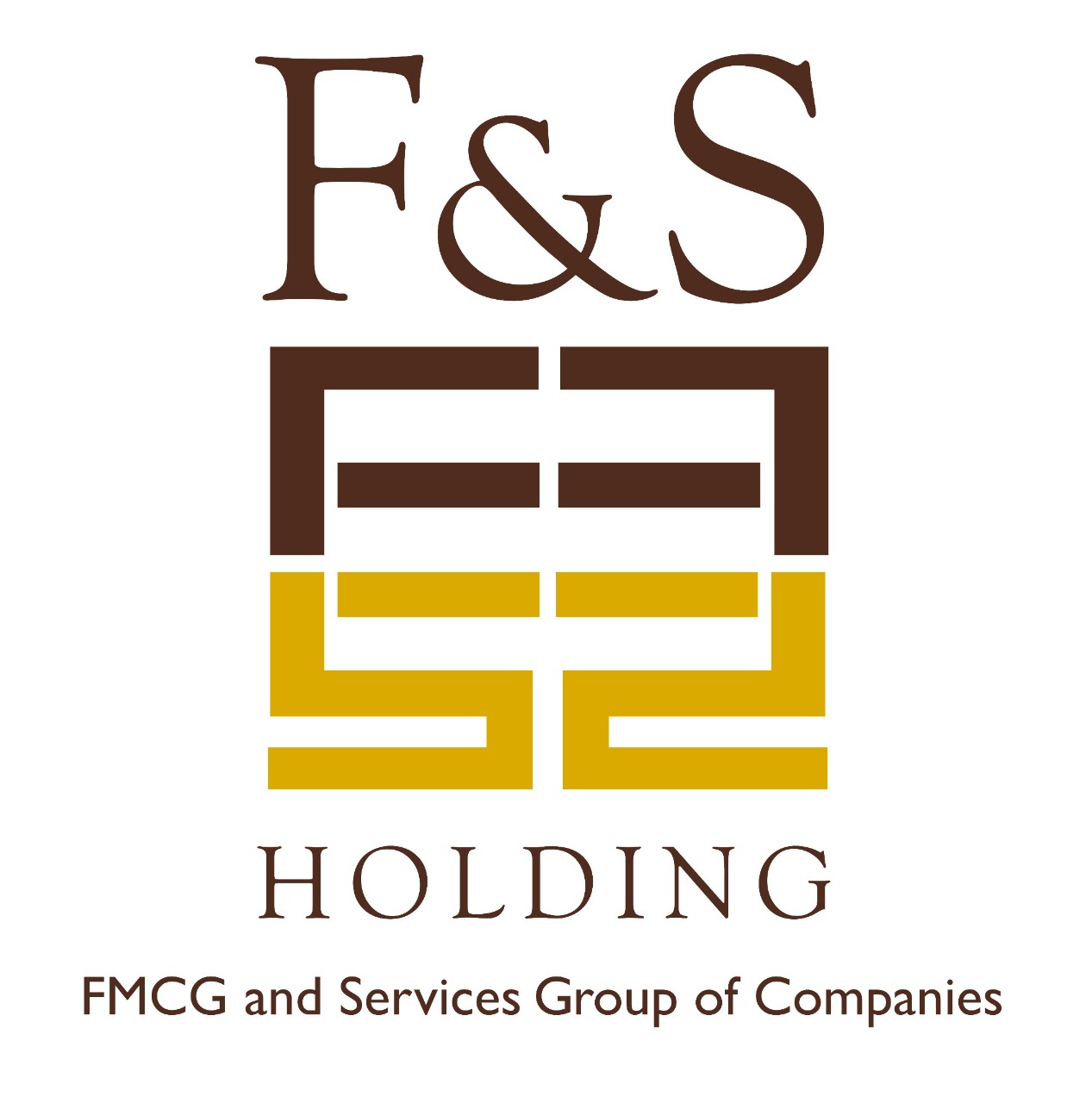 FS Holding
